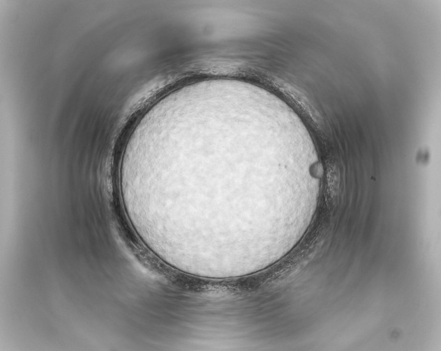 X0000093610682200711121213
