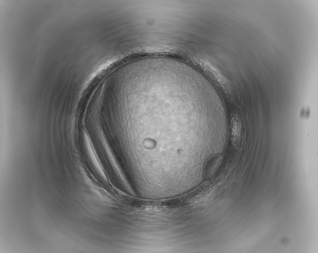 X0000093610684200711121213