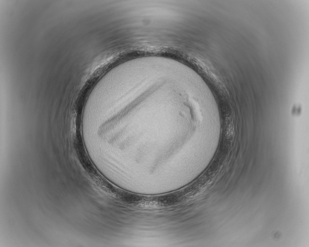 X0000093610685200711121213