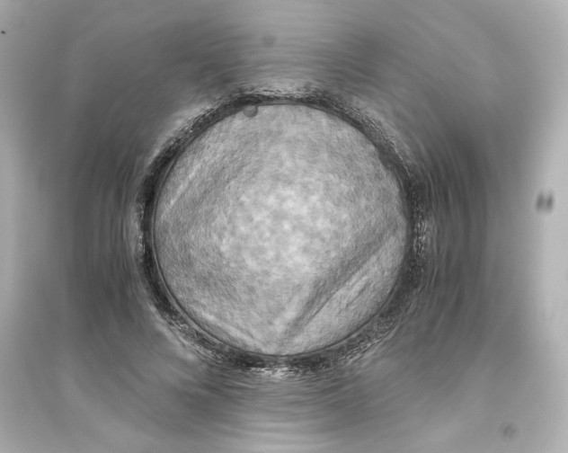X0000093610688200711121212