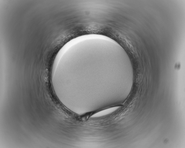 X0000093610689200711121212
