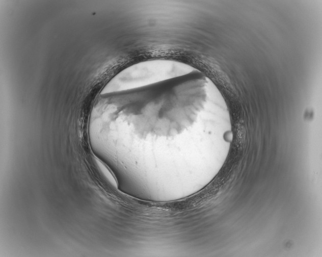 X0000093610691200711121212