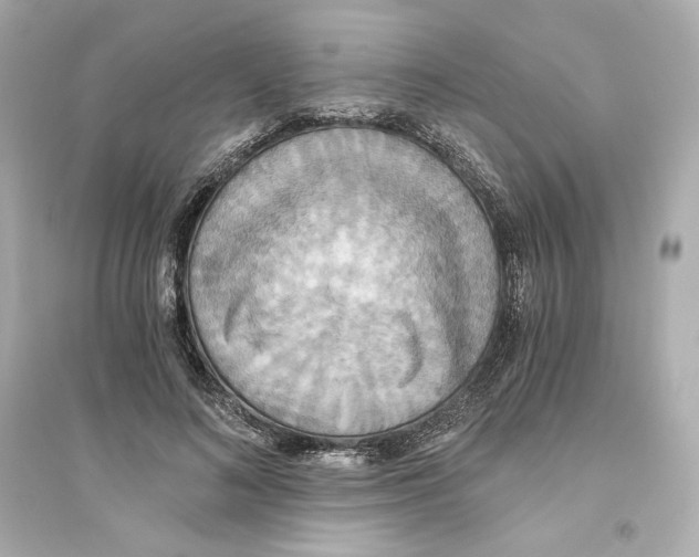 X0000093610692200711121212