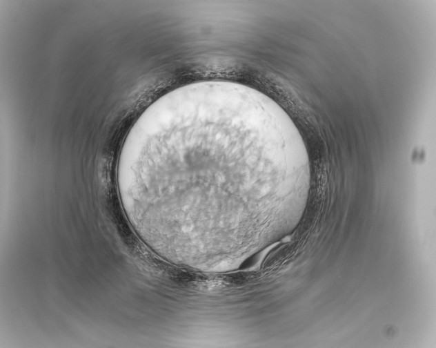 X0000093610695200711121212