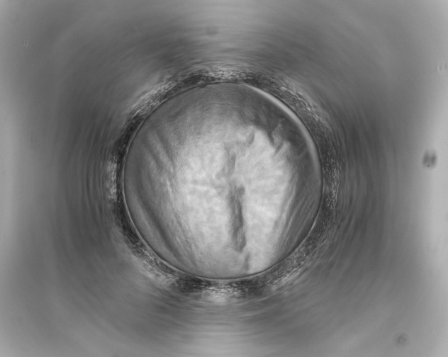 X0000093610696200711121212