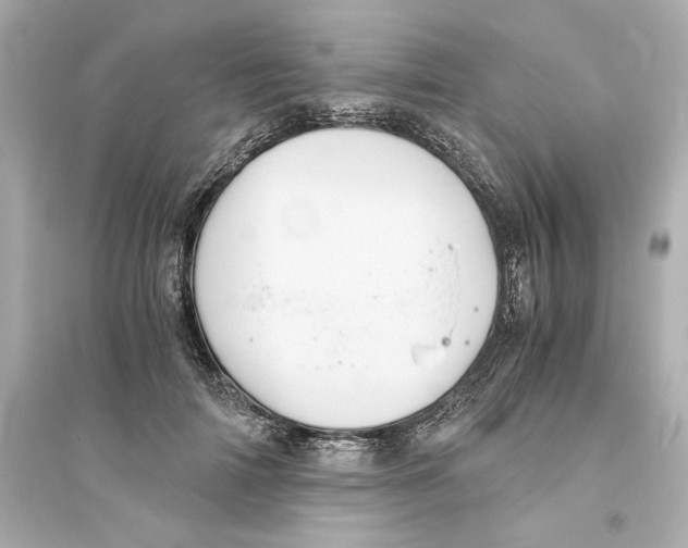 X0000093610698200711121212