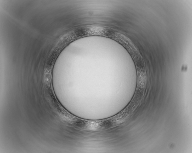 X0000093610701200711121212