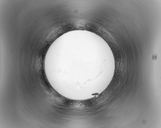X0000093610702200711121212