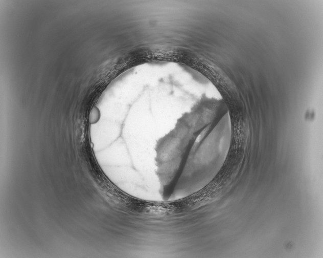 X0000093610703200711121212
