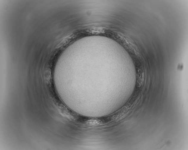 X0000093610704200711121212