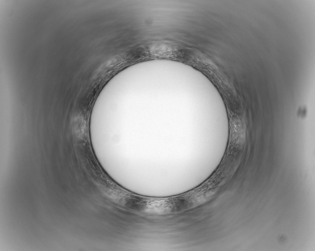 X0000093610705200711121212