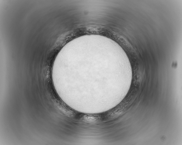 X0000093610706200711121212