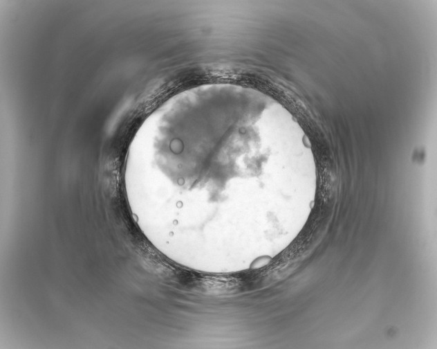 X0000093610707200711121212