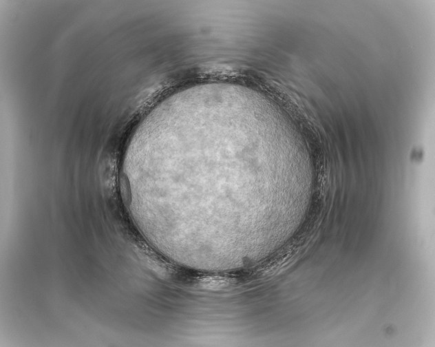 X0000093610708200711121212