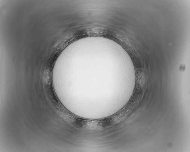 X0000093610709200711121212