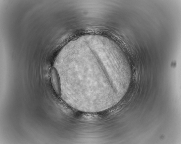 X0000093610712200711121212