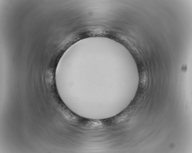X0000093610715200711121212