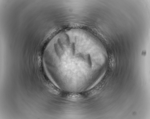 X0000093610716200711121212