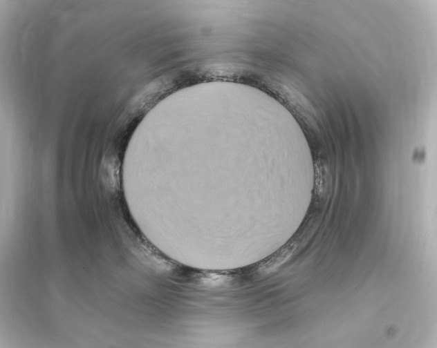 X0000093610718200711121212