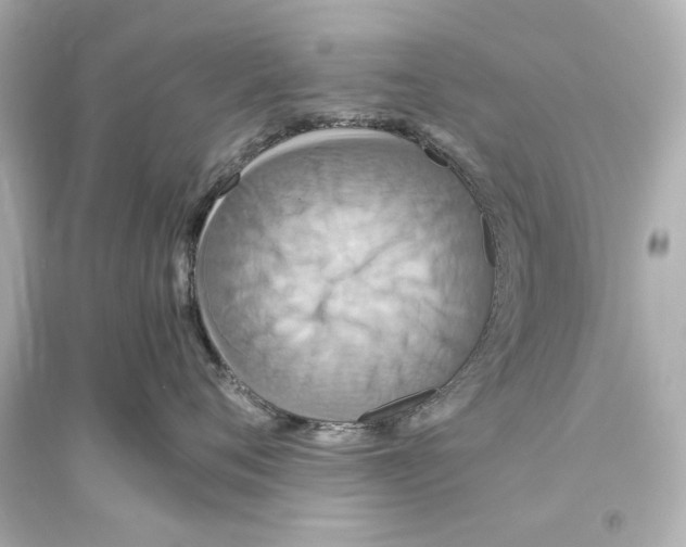 X0000093610720200711121212