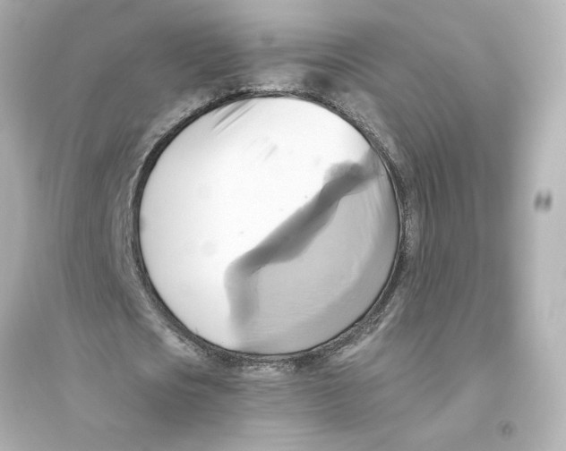 X0000093610721200711121211