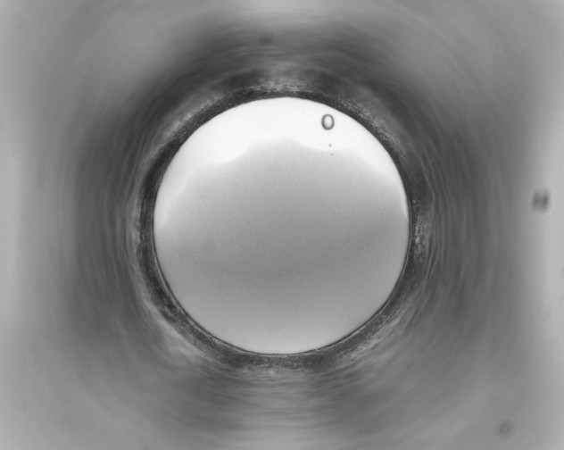 X0000093610722200711121211