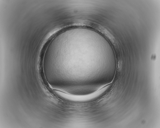 X0000093610724200711121211