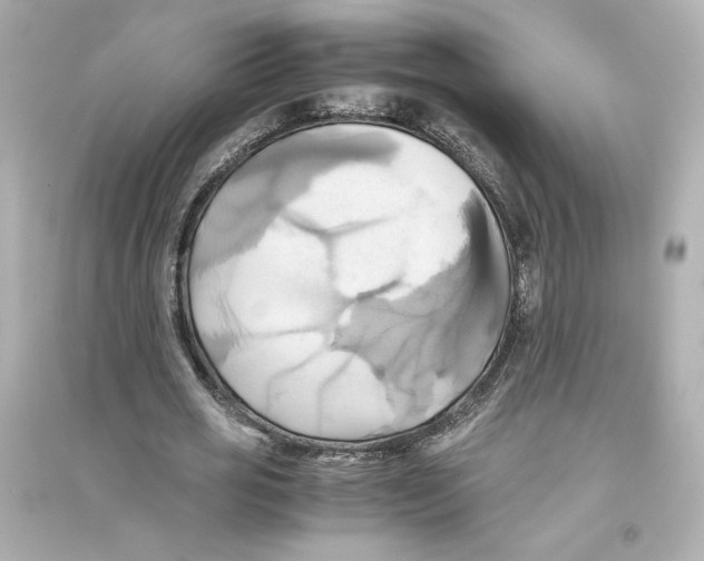 X0000093610725200711121211