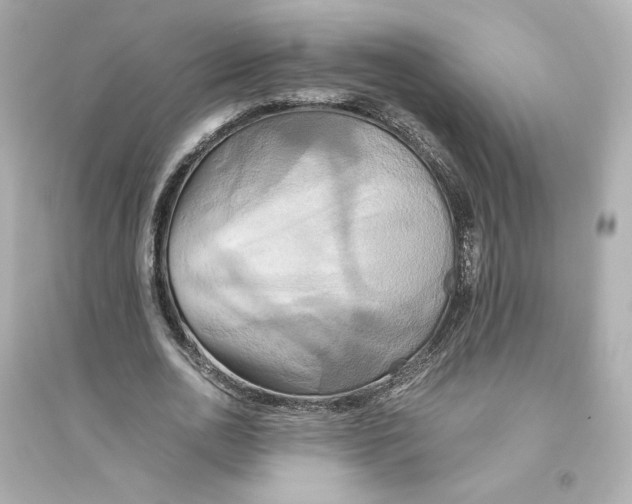 X0000093610726200711121211