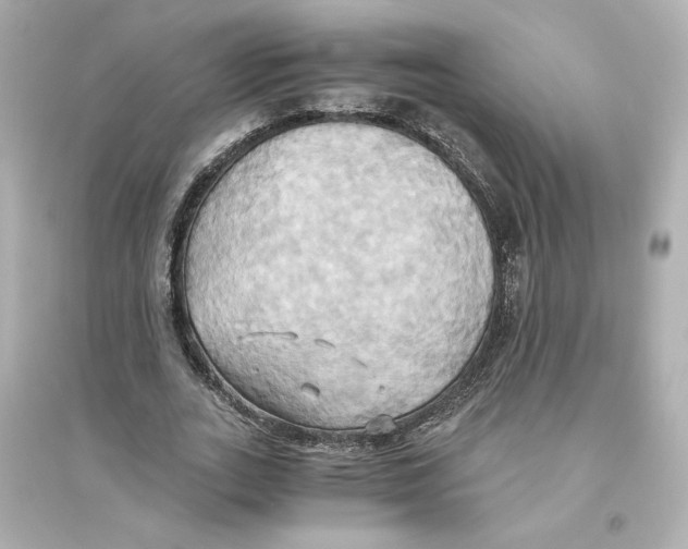 X0000093610727200711121211