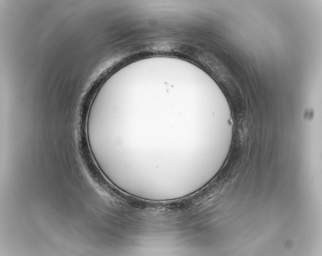 X0000093610728200711121211