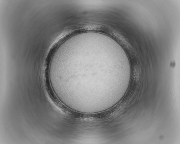 X0000093610730200711121211