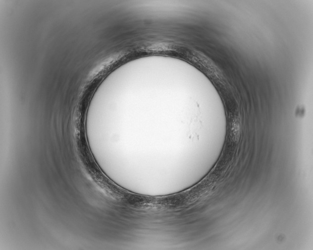 X0000093610732200711121212