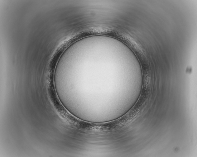 X0000093610736200711121212