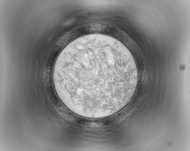 X0000093610737200711121212