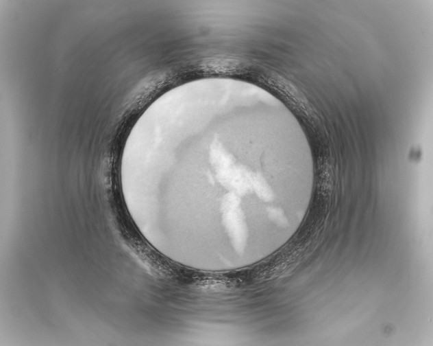 X0000093610738200711121212