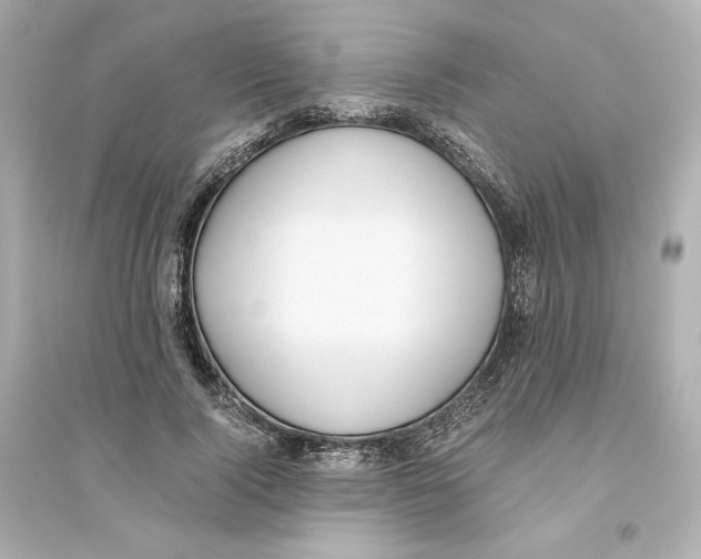 X0000093610740200711121212