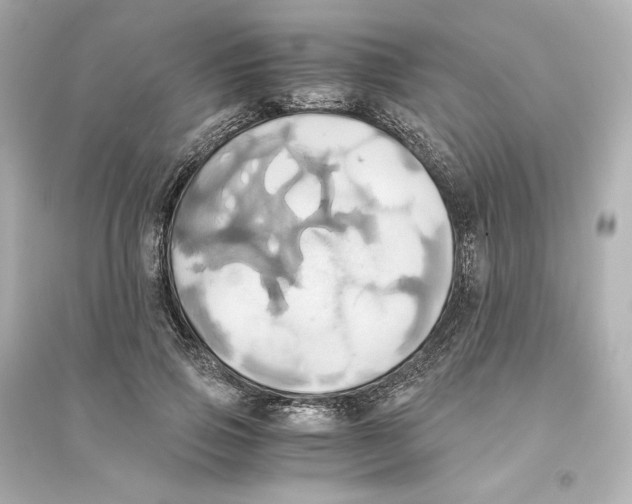 X0000093610741200711121212