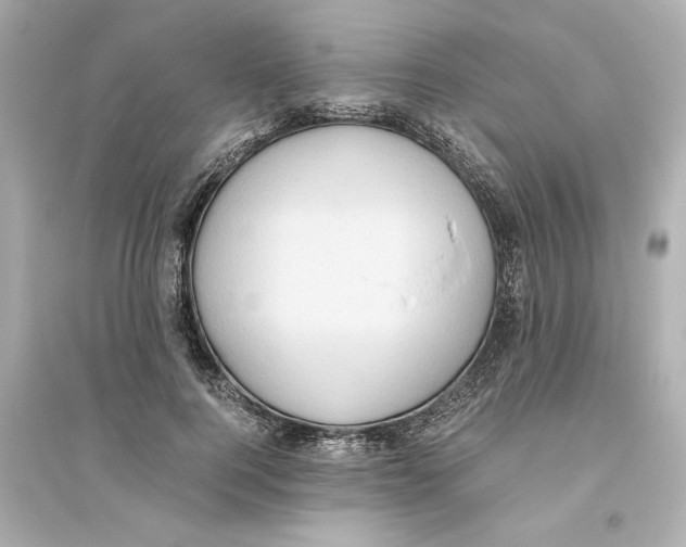 X0000093610744200711121212