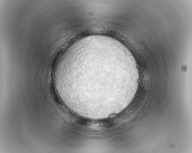 X0000093610746200711121212
