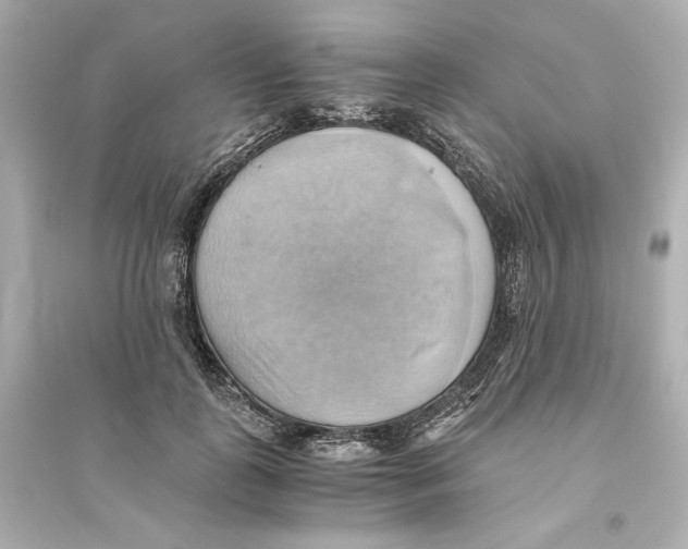 X0000093610747200711121212