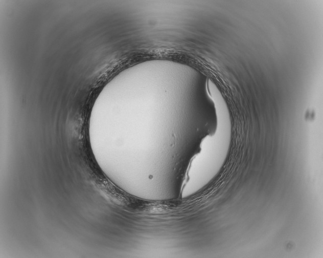 X0000093610750200711121212