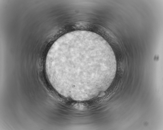 X0000093610751200711121212