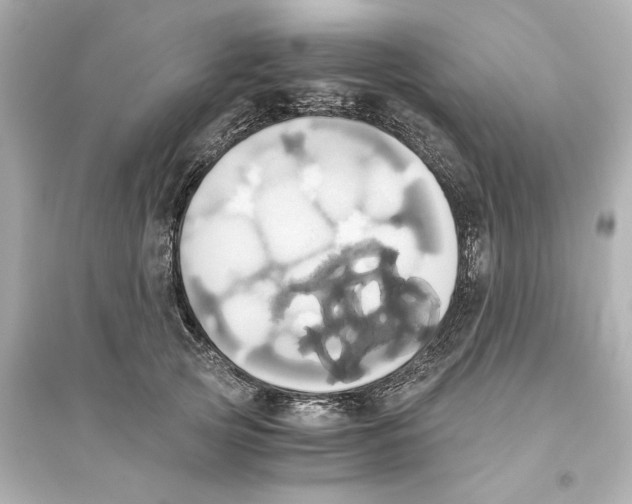 X0000093610753200711121212