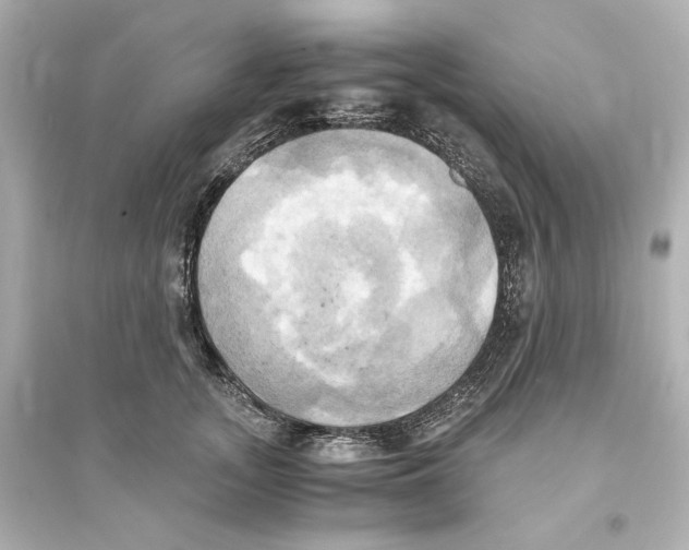 X0000093610755200711121212