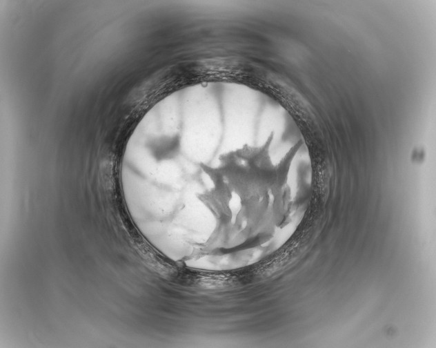 X0000093610757200711121212