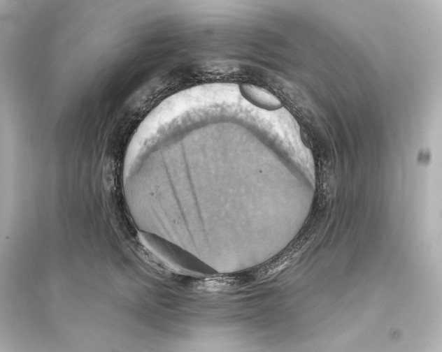 X0000093610758200711121212