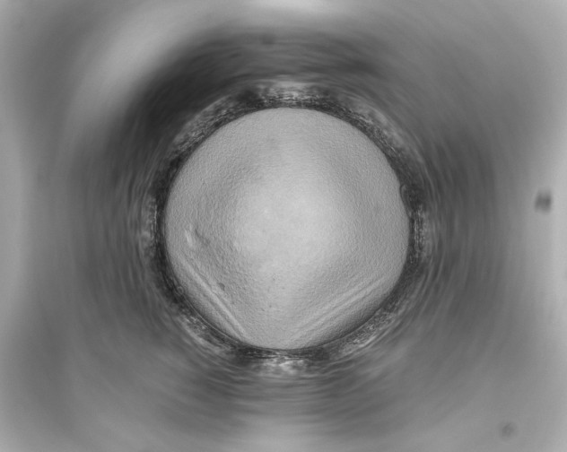 X0000093610760200711121212