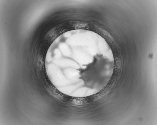 X0000093610761200711121212