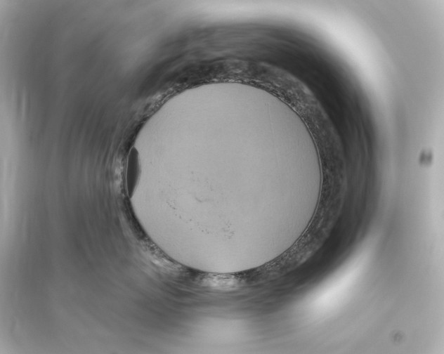 X0000093610767200711121212